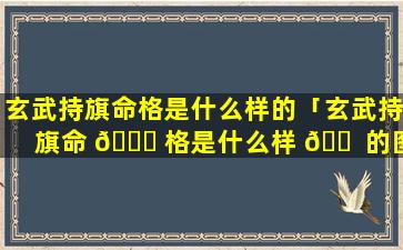 玄武持旗命格是什么样的「玄武持旗命 🐈 格是什么样 🐠 的图片」